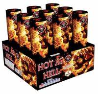 RACCOON HOT AS HELL